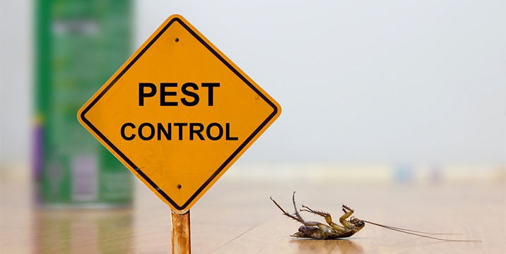 Pest-control-service