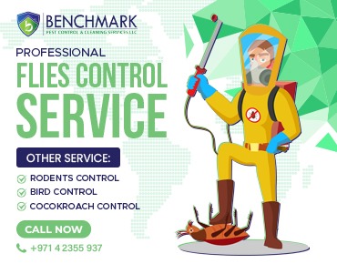 Professional Flies Control service. Why Choose PestPro UAE?