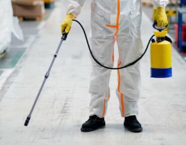 Guide To Pest Control Services For Businesses In UAE