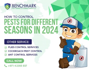 How To Control Pests For Different Seasons In 2024