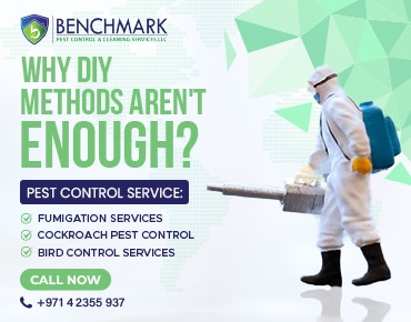 Why DIY Methods Aren’t Enough for Commercial Pest Control?