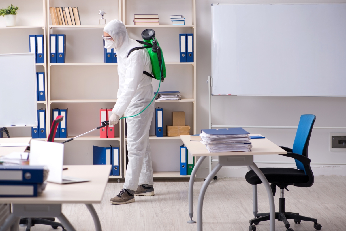 Commercial Pest Control Contracts vs. DIY Methods