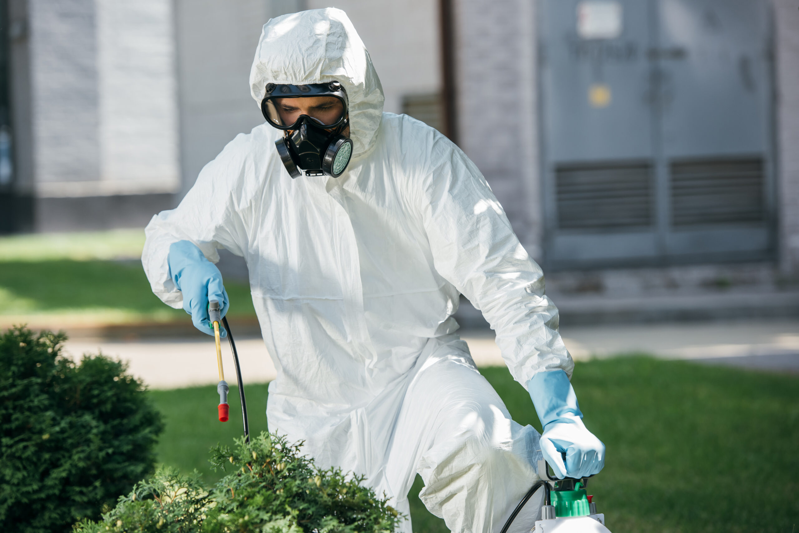 5 Effective Pest Control Methods For Residential Properties In Dubai