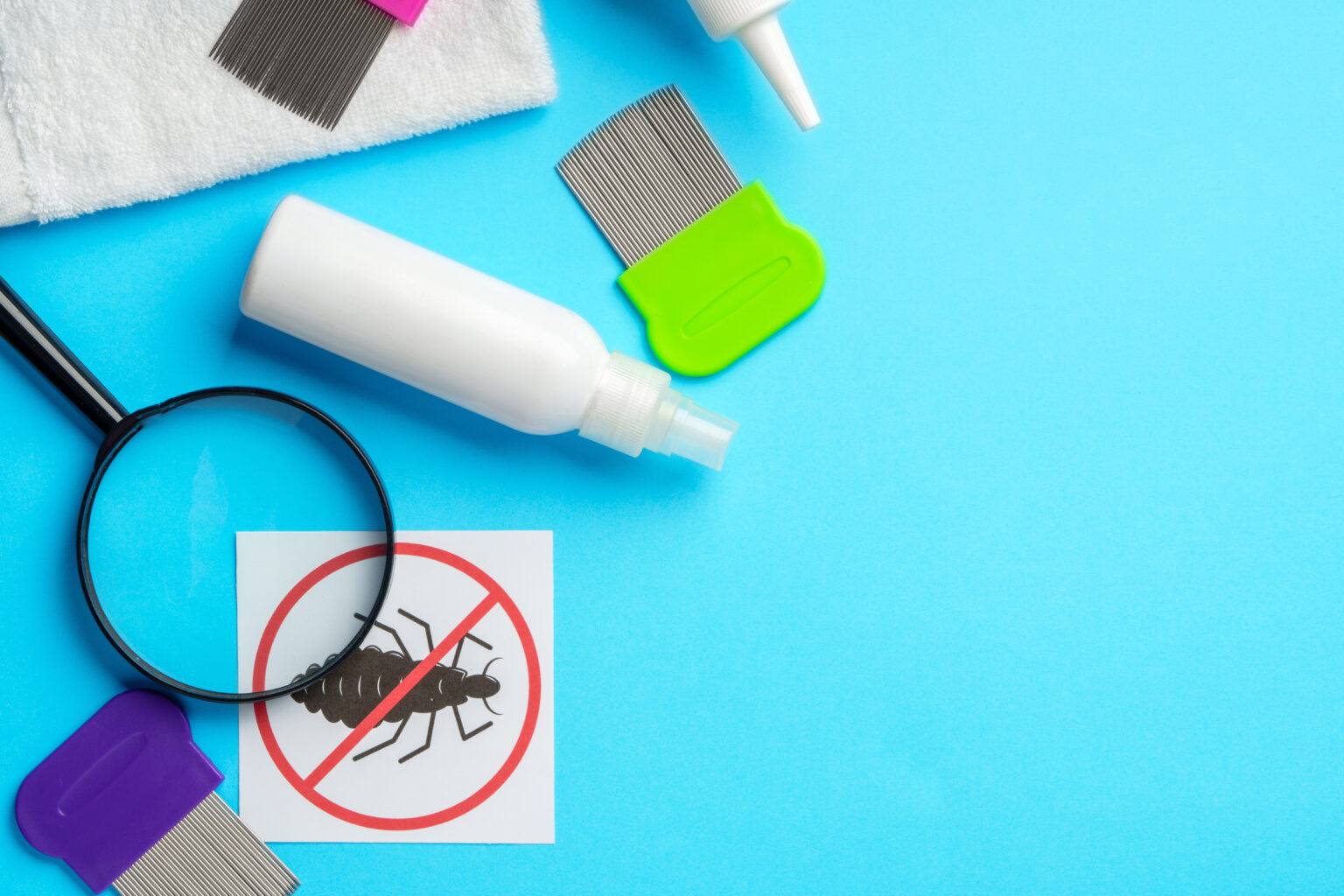 DIY Pest Control Solutions for Apartments in Dubai