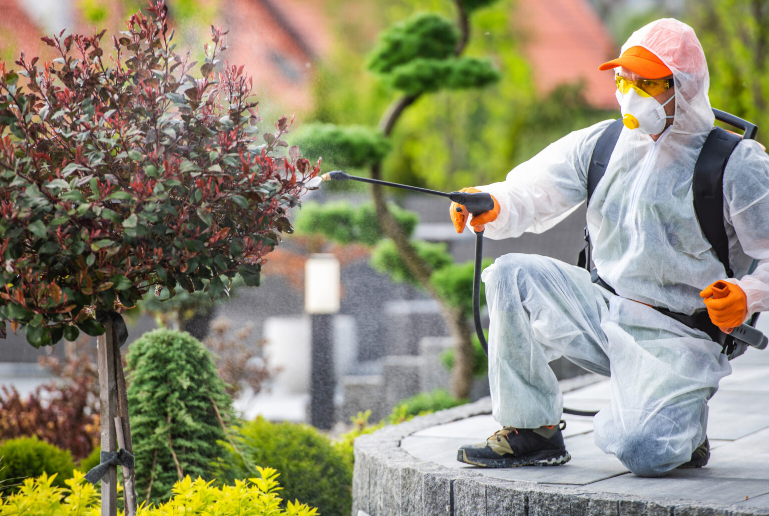 Pest Control Tips for Gardeners In The UAE